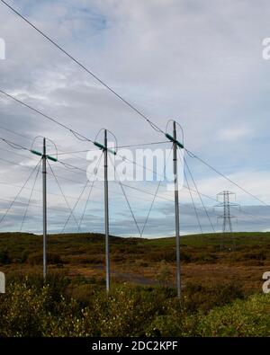 Stromleitungen in Island Stockfoto