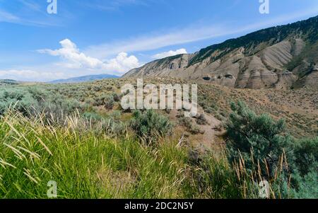 Trockene Landschaft des Yellowstone National Park mit Sageburten, Bergen, Gräsern, an einem hellen sonnigen Tag im Sommer in der Nähe von West Yellowstone, Wyoming, USA. Stockfoto