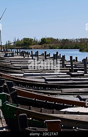 Set von kleinen Booten in einem Fischerhafen. see, blauer Himmel, Schilf, Holz Stockfoto