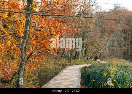 Touristen zu Fuß entlang der Holzweg in Plitvicer Seen Nationalpark, Kroatien. Bewegungsunschärfe Stockfoto