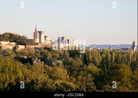 Panoramablick auf alte Mauern und Palast der Päpste in der antiken Stadt Avignon, Südfrankreich von der anderen Seite des Rhone Flusses. Stockfoto