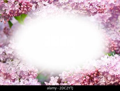 Vorlage für Design mit Blumen und weißer Vignette Stockfoto