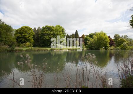 Cirencester, Gloucestershire, UK 05 15 2020 Ansichten der Flussmündung in Cirencester, Gloucestershire, UK Stockfoto