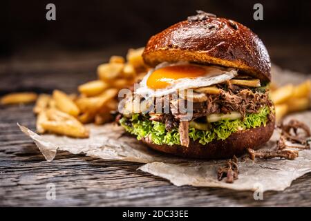 Burger gefüllt mit zerfetzten Confit puteneipilzen und französisch Pommes Stockfoto