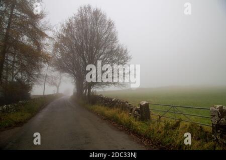 Ein Spaziergang entlang einer Landstraße in dichtem Nebel hinein Der Peak District Stockfoto