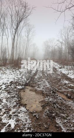 Nebel und Schnee, schlammiger Waldweg in einer neblig verschneiten Winterwaldlandschaft. Dunkle Winterlandschaft, schlammige Waldstraße, die in den Nebel führt Stockfoto