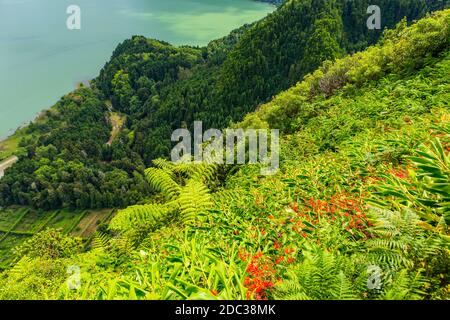 Blick auf den Furnassee (Lagoa das Furnas) auf Sao Miguel, Azoren, Portugal vom Aussichtspunkt Pico do Ferro. Stockfoto