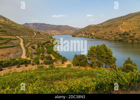 Fluss Douro fließt im Norden Portugals. Douro Region. Stockfoto