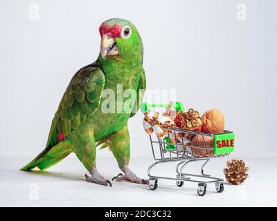 Großer grüner Papagei und ein kleiner Karren mit Geschenken und Als „Sale“ markiert Stockfoto