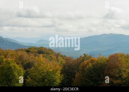 Europa, Polen, Woiwodschaft Podkarpackie, Bieszczady, Polonina Carynska - Nationalpark Bieszczady. Blick von Polonina Carynska. Stockfoto