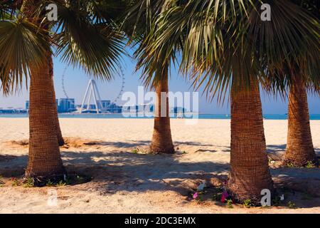 Kokospalme am tropischen Küstenstrand, mit Vintage-Tönen, warmen Tönen. Urlaubskonzept. Stockfoto