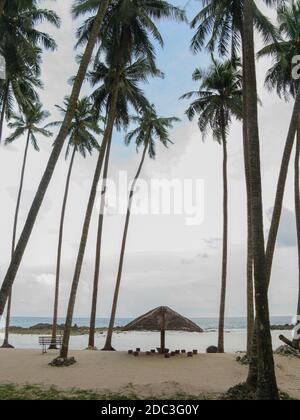 Silhouette eines Strohdach Pavillon für Schatten und Kokosnuss Bäume an einem Strand in Port Blair in Andaman und Nicobar-Inseln Indien Stockfoto