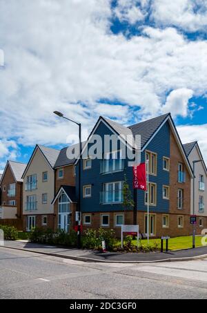 Neu gebaute Häuser auf einer Entwicklung in der Nähe des Flusses Lune In Lancaster Lancashire England Stockfoto