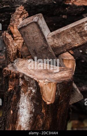 Große Axt, die einen Baumstamm in zwei Hälften knackt Stockfoto