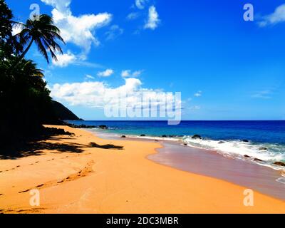 Laurent Beach in Rifflet, Guadeloupe Stockfoto