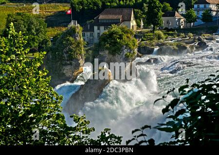 Felseninsel im rauschenden Wasser am Rheinfall zur Zeit der Schneeschmelze in den Alpen, Laufen-Uhwiesen bei Schaffhausen, Schweiz Stockfoto