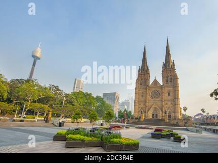 St. Mary's Cathedral in Sydney vom Cook Philip Park aus gesehen. Australien Stockfoto