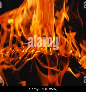 Haufen Feuerholz im Feuer Flammen im Brazier Nahaufnahme.Picknick-Konzept Stockfoto