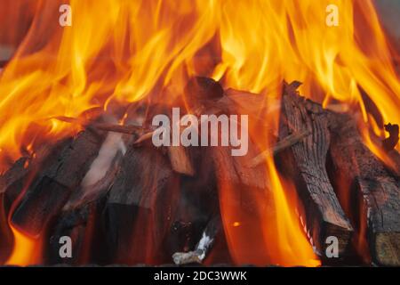 Haufen Feuerholz im Feuer Flammen im Brazier Nahaufnahme.Picknick-Konzept Stockfoto