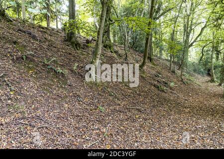 Offas Dyke Path entlang eines Abschnitts des Offas Dyke oberhalb von Tintern in Caswell Wood in der Nähe von Devils Pulpit, Tidenham Chase, Gloucestershire UK Stockfoto