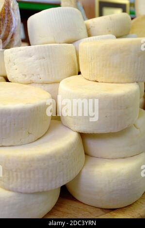 Typischer Cacio Ricotta Käse aus der Region Apulien im Süden Italien Stockfoto