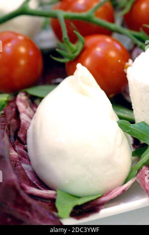 Apulische Burrata mit Kirschtomaten Stockfoto