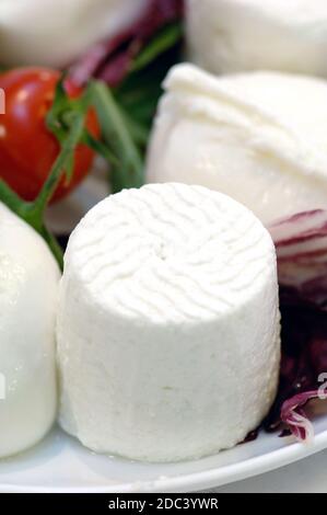 Detail von einem kleinen Ricotta-Käse in der Mitte von Andere Käse aus Italien Stockfoto