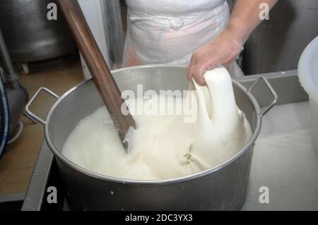 Mozzarella Käseherstellung während der Zubereitung der Filatpasta Für die Herstellung von Mozzarella in Italien Stockfoto