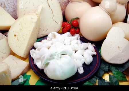 Käse aus Apulien Region genannt Provola und caciocavallo, Burrata und Mozzarella. Stockfoto