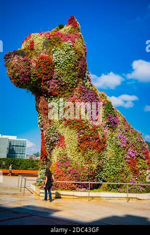 Welpe von Jeff Koons vor dem Guggenheim Museum. Bilbao, Biskaya, Baskenland, Spanien, Europa Stockfoto