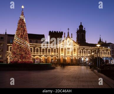 Portugiesische Weihnachtsbeleuchtung Dekoration mit einem riesigen Baum in Braga Stadtzentrum, Portugal Stockfoto