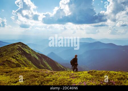 Fotograf fotografiert Rhododendron Blumen bedeckt Berge Wiese im Sommer. Landschaftsfotografie Stockfoto