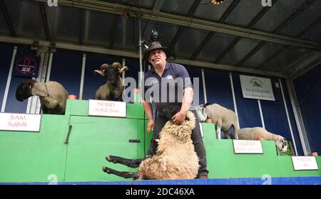 Die Sheep Show Roadshow in Staffordshire County Show Stockfoto