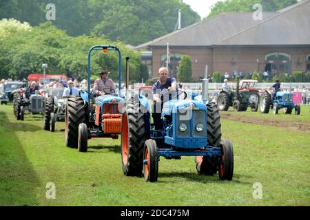 Klassische Traktoren mit Fordson Super Major führend in Staffordshire County Anzeigen Stockfoto