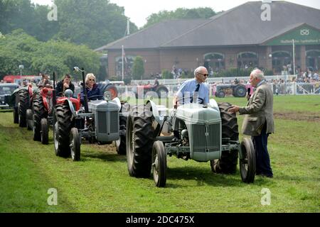 Klassische Traktoren auf Staffordshire County Show. Ford Traktor Stockfoto