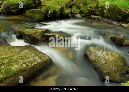 Golitha Falls, Cornwall Stockfoto