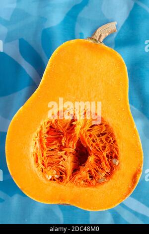 Frischer Butternusskürbis auf blauem Hintergrund. Butternut Kürbis. Hälften von rohem orangefarbenem Kürbis. Kontrastfoto. Gesunde Mahlzeit Prep, Rezept Vorbereitung Stockfoto