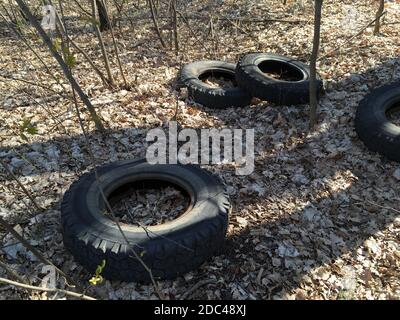 Schmutzige alte Gummireifen im Wald. Unzulässig Stockfoto