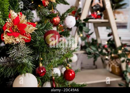 Schöne weihnachtsblume, rote und weiße Kugeln hängen auf weihnachtsbaum.Weihnachtsdekorationen. Neujahr Dekor für Wohnzimmer.Baum Zweig dekoriert Stockfoto
