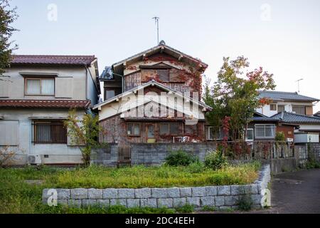 Red Efeu wächst auf alten japanischen Haus in ruhiger Nachbarschaft Stockfoto