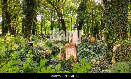 Neuer jüdischer Friedhof, Kazimierz Krakau, Polen Stockfoto
