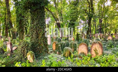 Neuer jüdischer Friedhof, Kazimierz Krakau, Polen Stockfoto