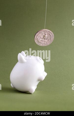 Sparschwein bettelt um Münzen Stockfoto