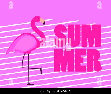 Niedliche Rosa Flamingo Sommer Hintergrund Illustration Stockfoto