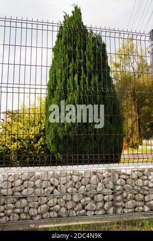 Haus und Garten umgeben von einer niedrigen Wand aus Gabionen mit weißen Kieselsteinen gefüllt. Stockfoto