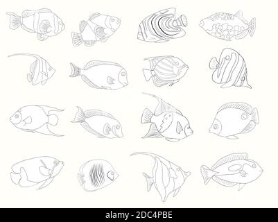 Handgezogener Fisch-Satz isoliert auf Weiß. Skizzenvektordarstellung. Stock Vektor