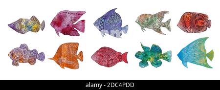 Set von farbigen Hand stilisierten Fisch mit Doodle, zentangle, floral, Vintage-Elemente mit gewelltem Musterrahmen. Ausmalbilder für Ausmalbilder für adul Stock Vektor