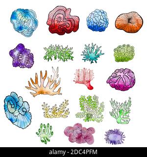Handgezeichnetes Unterwasserleben-Set mit Aquarell-Hintergrund.isoliert auf Weiß. Skizzenvektordarstellung. Stock Vektor