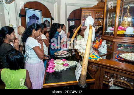 Gläubige beten vor einer Statue von Lord Buddha in der Bibliothek im Tempel der Heiligen Zahnreliquie in Kandy in Sri Lanka. Stockfoto