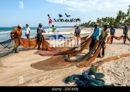 Seine-Fischer ziehen ihre Fischernetze am späten Nachmittag vom Indischen Ozean an den Strand von Uppuveli in Sri Lanka. Stockfoto